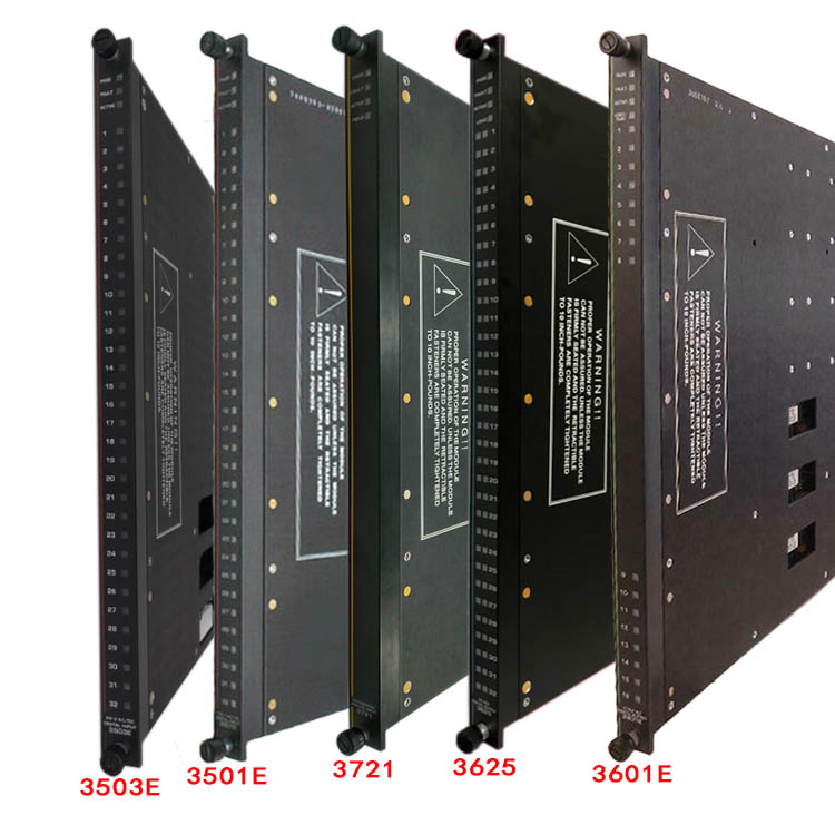 TRICONEX MODULE