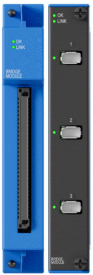 Bridge Module (BRG) Bridge Module (BRG)