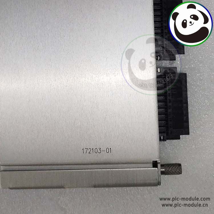 Bently Nevada 172103-01 IO Module 350065 Internal Terminations..jpg