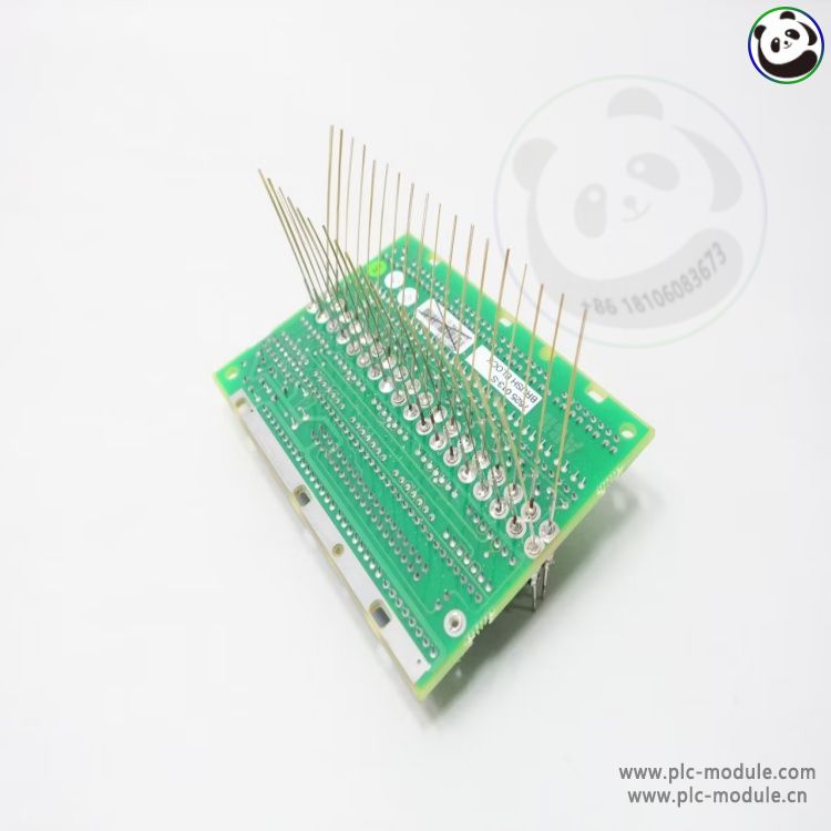 7625013-S(2).jpg