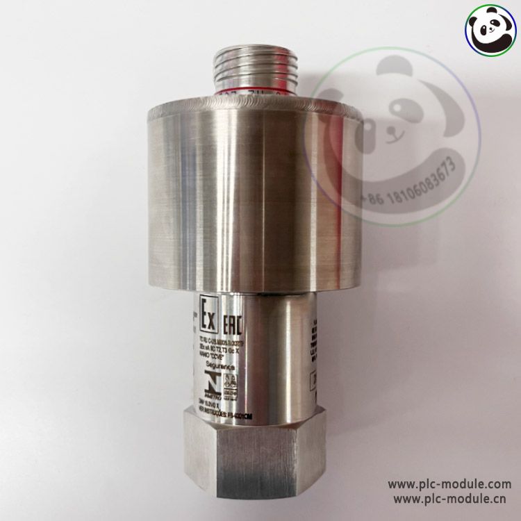 GE RS-FS-9001 362A1052P004 Flame Detector Probe Sensor.....jpg
