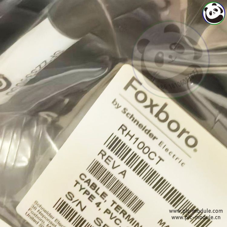 FOXBORO RH1000CT CABLE..jpg